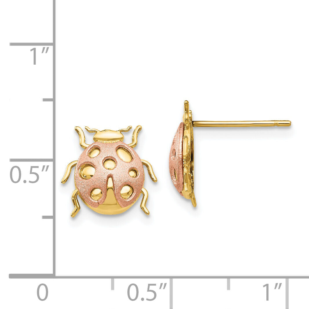 14k Two-Tone Ladybug Post Earrings-H1108