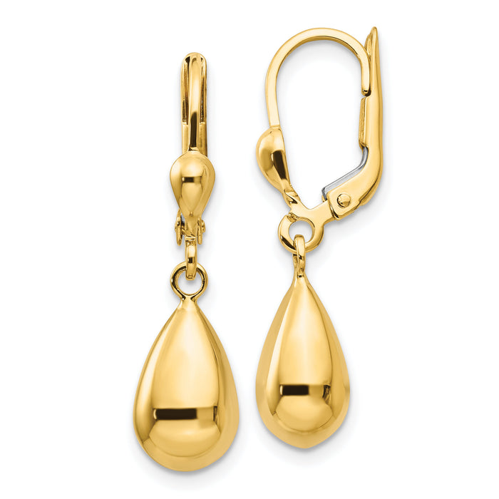 14k Polished Fancy Dangle Leverback Earrings-H557
