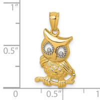 14k & Rhodium Polished & Textured Owl Pendant-K10055
