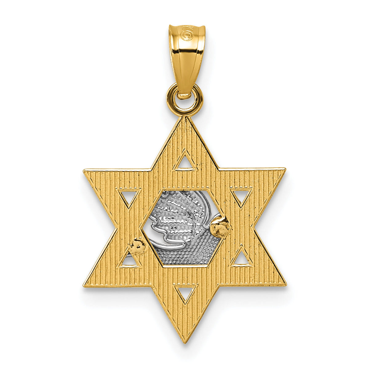 14k Two-tone Textured/Diamond-cut Dove On Star Of David Pendant-K10113