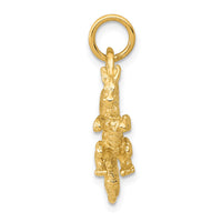 14k Solid Polished 3-D Dragon Charm-K1012