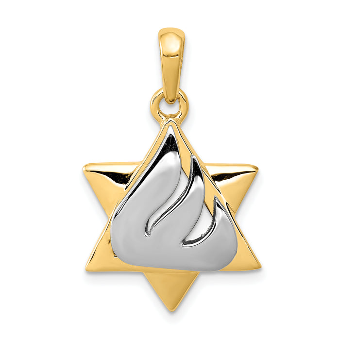 14k Two-tone Star of David Pendant-K1275