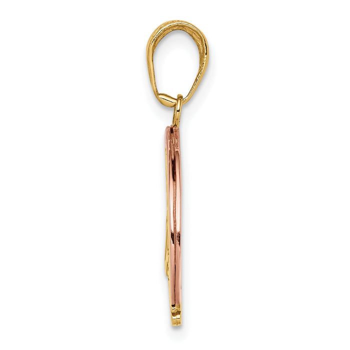14k Two-tone w/White Rhod FOLLOW YOUR DREAMS Rainbow Charm-K2351
