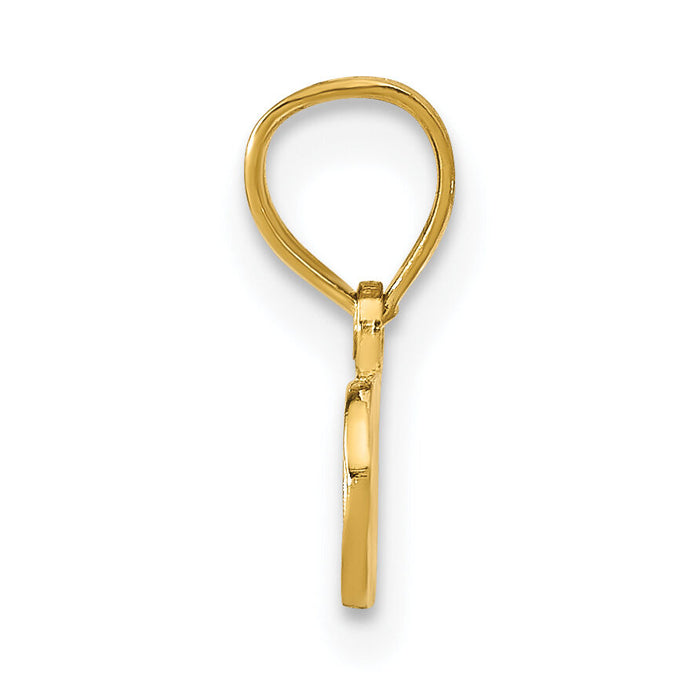14K SPOILED Pendant-K2603