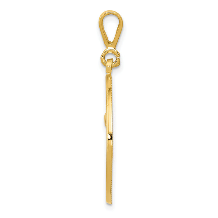 14k RN THE ART OF CARING Pendant-K2852