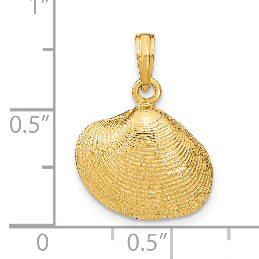 14k Medium Clam Shell Pendant-K2917