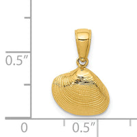14k Small Clam Shell Pendant-K2964
