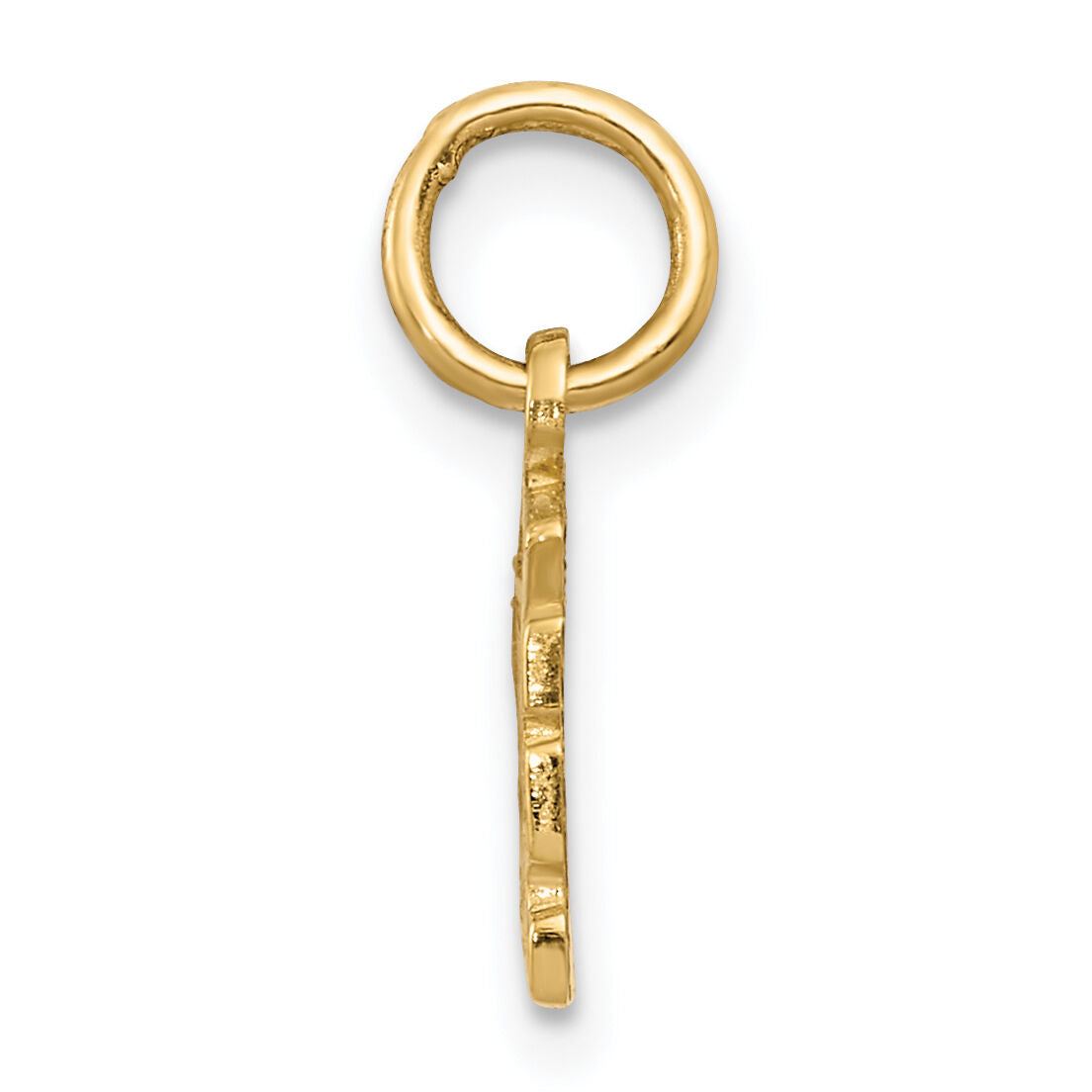 14k Swiss Cheese Charm-K3145