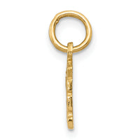14k Swiss Cheese Charm-K3145