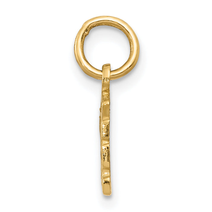 14k Swiss Cheese Charm-K3145