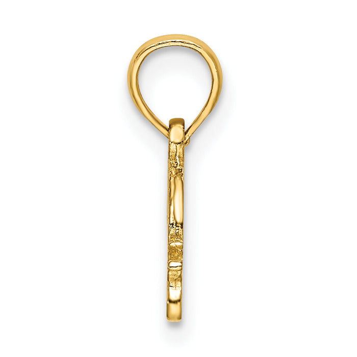 14k Textured Mini Snail Charm-K3175