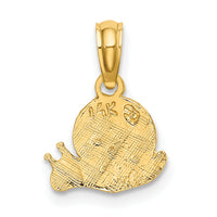 14k Textured Mini Snail Charm-K3175