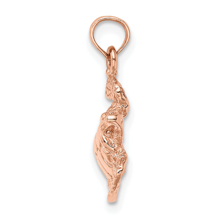 14k Rose Gold Textured Sea Turtle Charm-K3308R