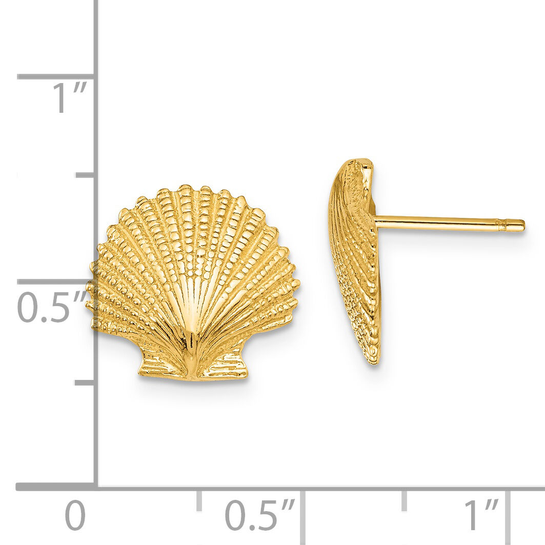 14K Scallop Shell Post Earrings-K4454