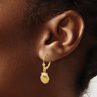 14K Scallop Shell Leverback Earrings-K4459
