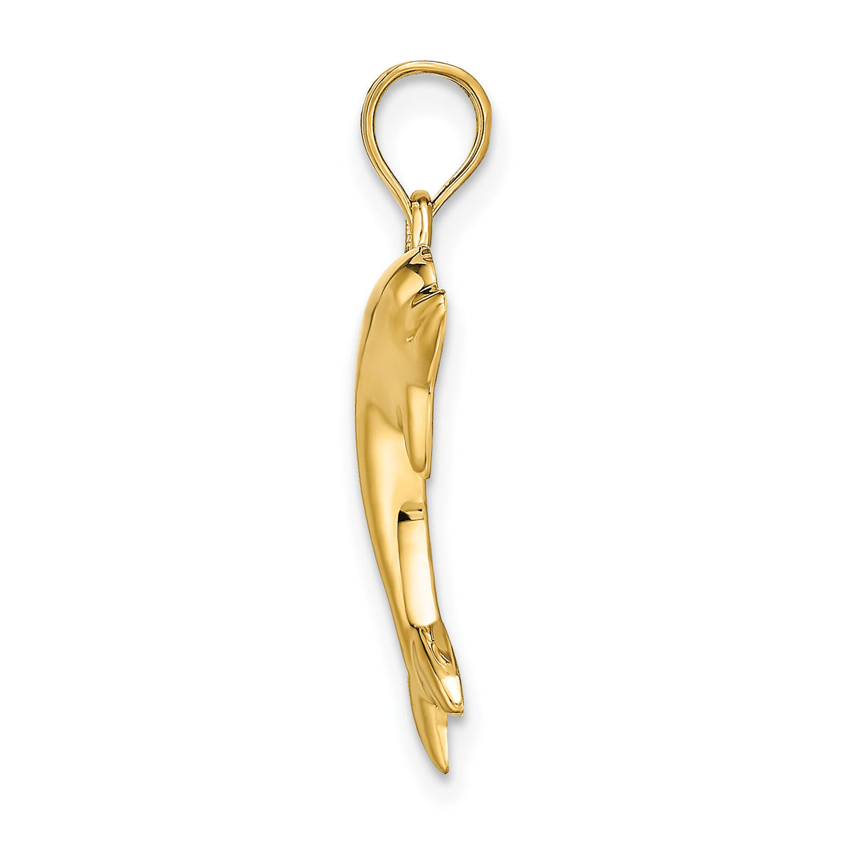 14k Polished Dolphin Charm-K4875