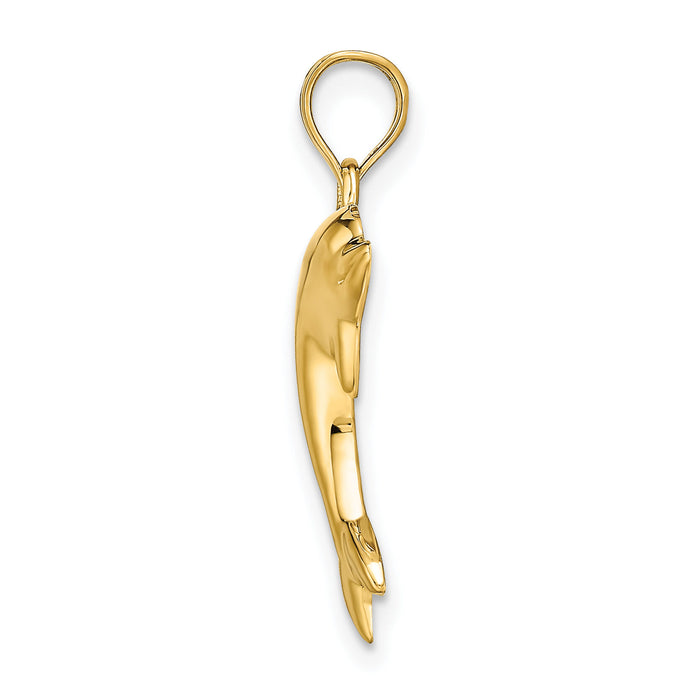 14k Polished Dolphin Charm-K4875