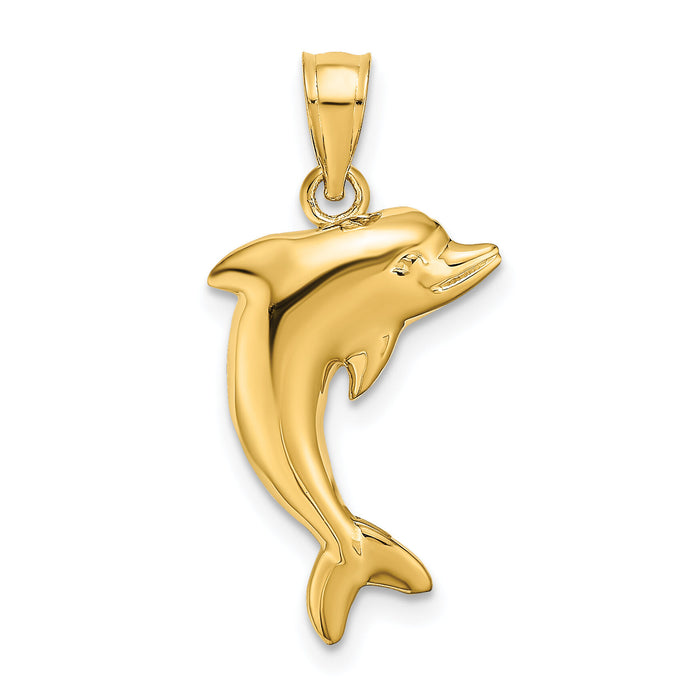14k Polished Dolphin Charm-K4875