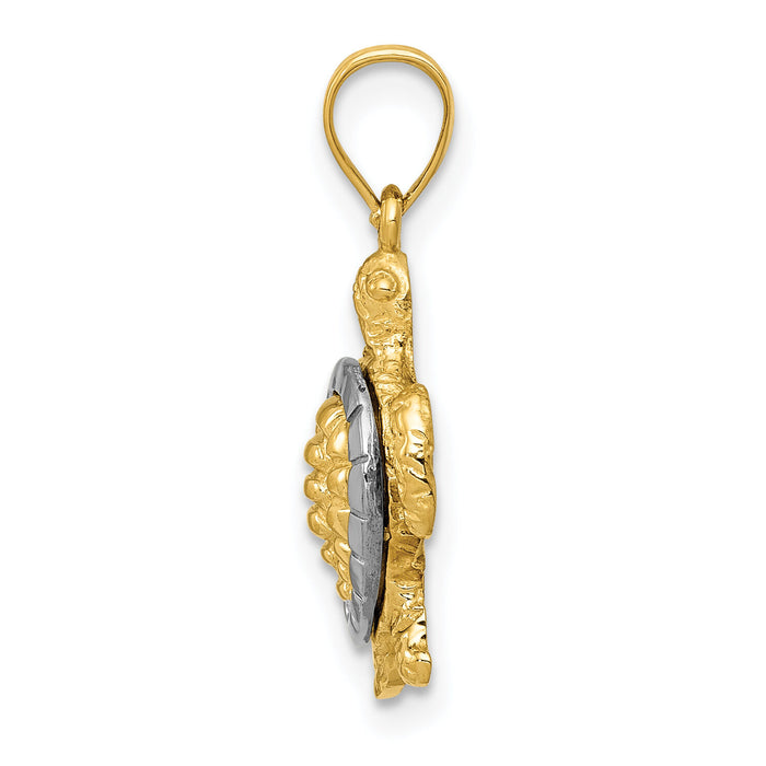 14K Two-tone Gold Turtle Charm-K4880
