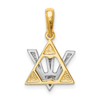14K Two-tone Star of David w/Shin Charm-K529