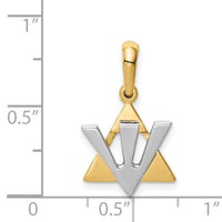 14K Two-tone Star of David w/Shin Charm-K529