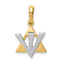 14K Two-tone Star of David w/Shin Charm-K529