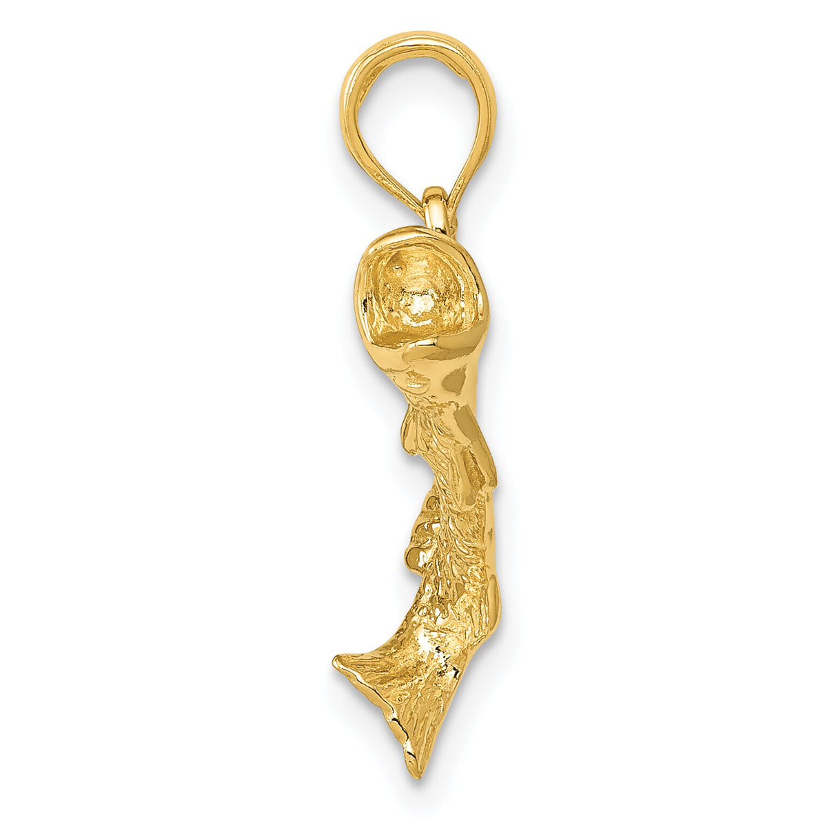 14K Gold Polished Textured Bass Fish Pendant-K5362