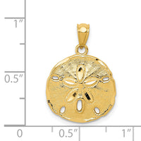 14k Gold Polished Large Sand Dollar Pendant-K5378