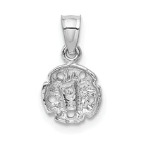 14k White Gold Sand Dollar Pendant-K5381