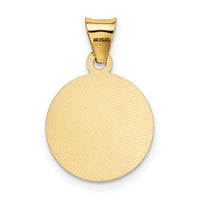 14K w/Rose and White Rhodium D/C Sagrado Corazon Pendant-K5599
