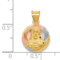 14K w/Rose and White Rhodium D/C Sagrado Corazon Pendant-K5599
