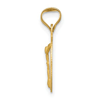 14K Polished D/C Corpus Circle Pendant-K5619