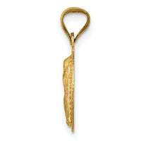 14K w/Rhodium Polished D/C Lady Of Guadalupe Circle Pendant-K5628