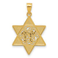 14k Two-tone Gold Polished Star of David w/Chai Pendant-K5707