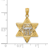 14k Two-tone Gold Polished Star of David w/Chai Pendant-K5707