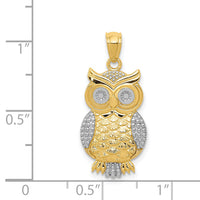 14K w/ Rhodium Polished / Textured Owl Pendant-K5978