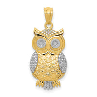 14K w/ Rhodium Polished / Textured Owl Pendant-K5978