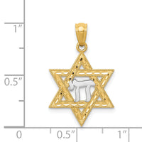 14k w/Rhodium Star of David w/Chai Pendant-K6373