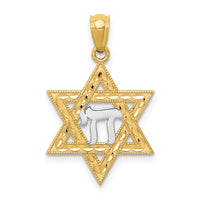 14k w/Rhodium Star of David w/Chai Pendant-K6373