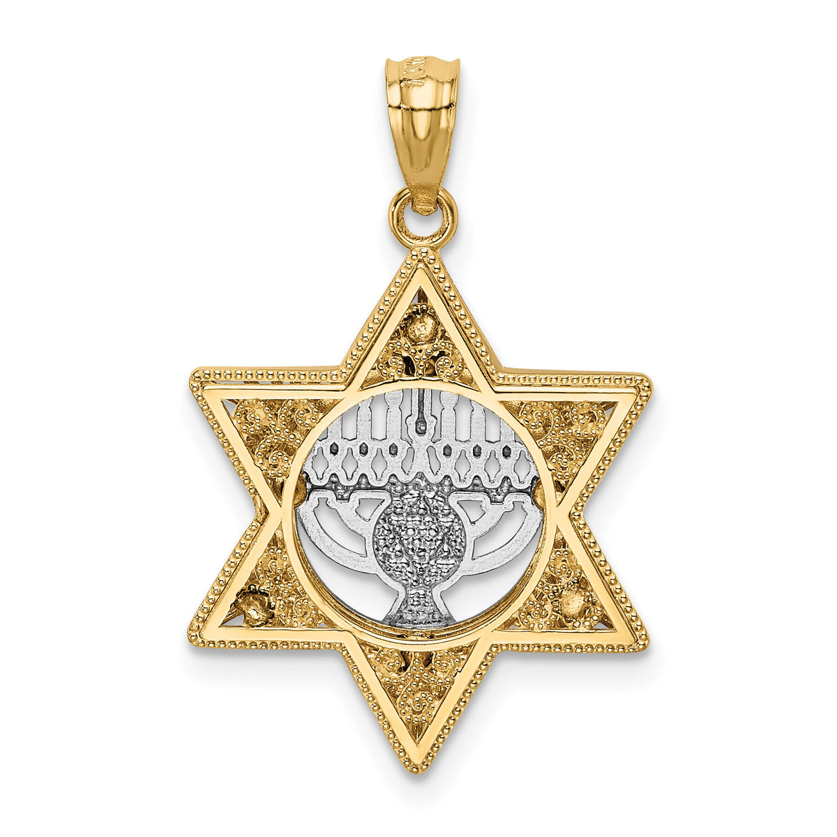 14K Two-Tone Star Of David and Menorah Pendant-K6376