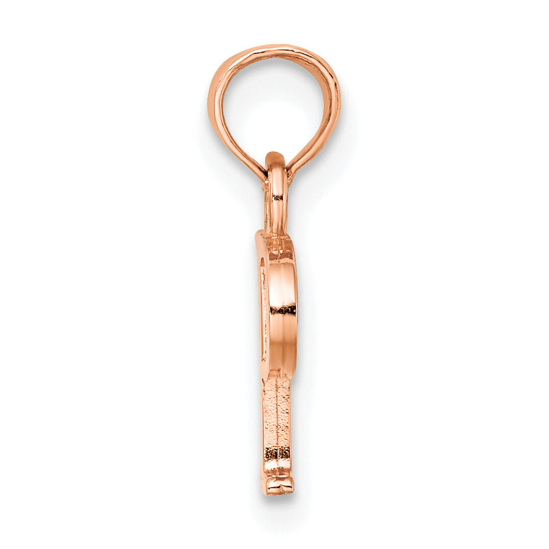 14K Rose Gold Polished Block Letter P Initial Pendant-K6423RP