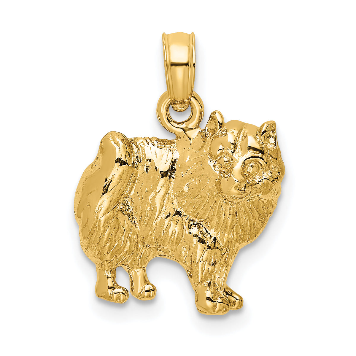 14K Polished Pomeranian Dog Charm-K6478