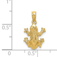 14K 2-D Textured Top View Frog Charm-K6517
