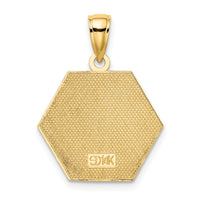 14K Enameled Textured Back Caduceus Medical Disc-K6732