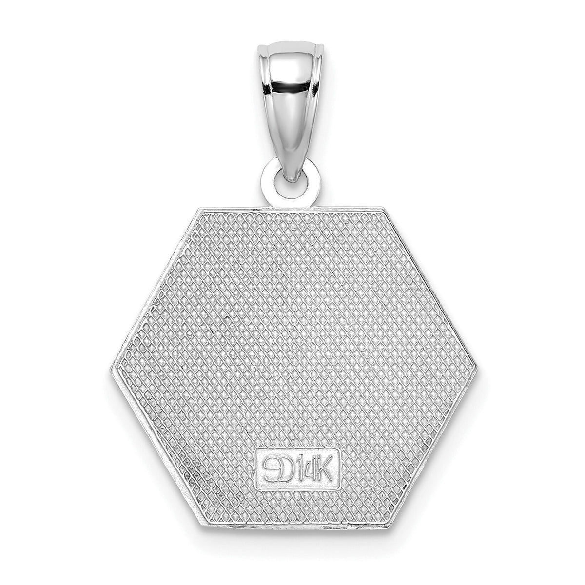 14K White Gold Enameled Textured Back Caduceus Medical Disc-K6732W