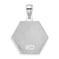 14K White Gold Enameled Textured Back Caduceus Medical Disc-K6732W
