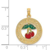 14K TRAVERSE CITY MI Enamel Cherry Charm-K6898