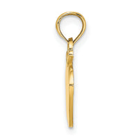 14K Polished Apple Charm-K7312