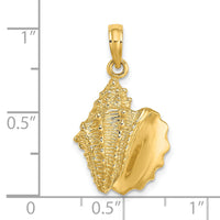 14K Conch Shell Charm-K7397