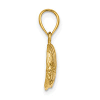 14K 2-D Polished Engraved Fish Charm-K7424